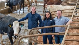 Inefficiencies in your heifer unit